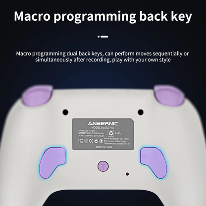 ANBERNIC RG P01 Controller